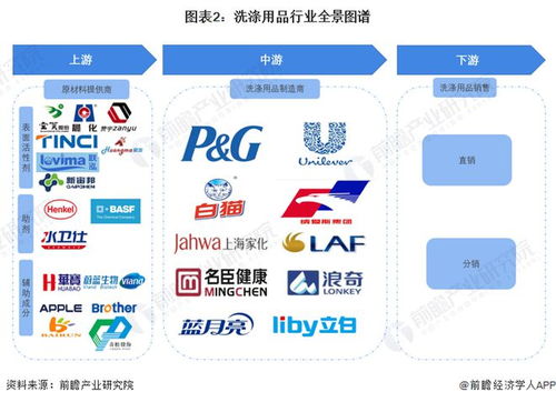 洗涤用品行业产业链全景梳理及区域热力地图